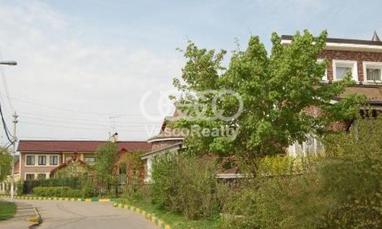 Ели