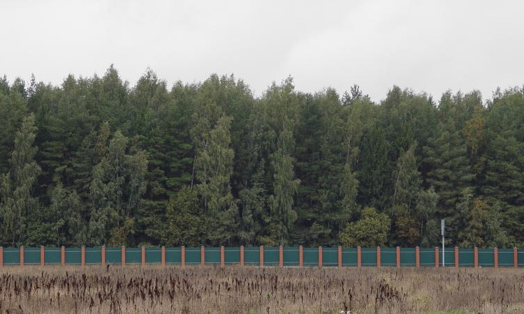 Елизарово park (Елизарово парк)