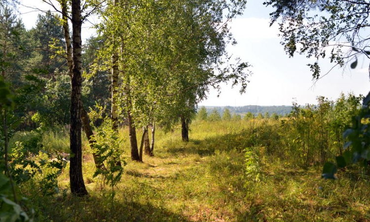 Журавлево-2