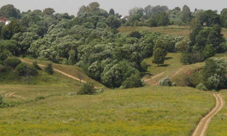 Журавлево-2
