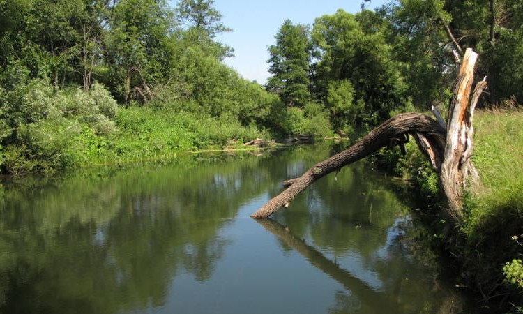 Журавлево-2
