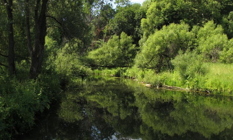 Журавлево-2