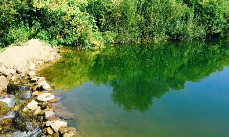 Журавлево-2
