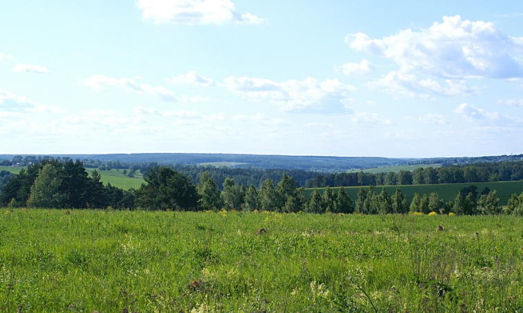 Журавлево-2