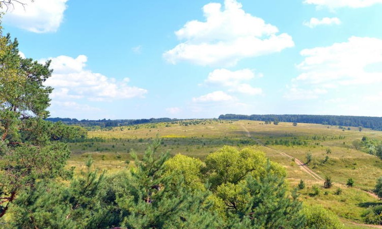 Журавлево-2