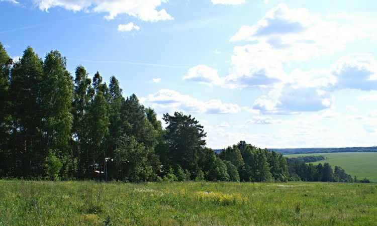 Журавлево-2