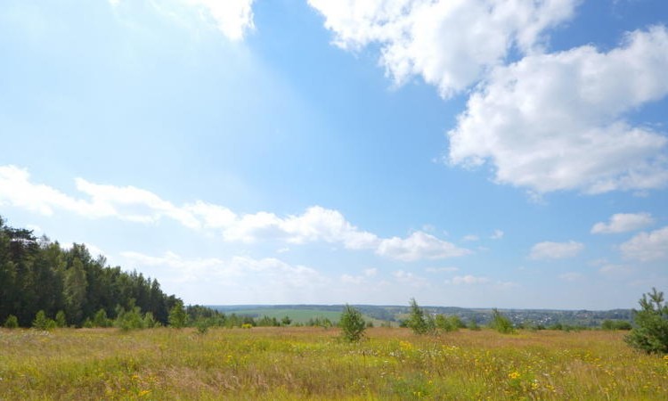 Журавлево-2