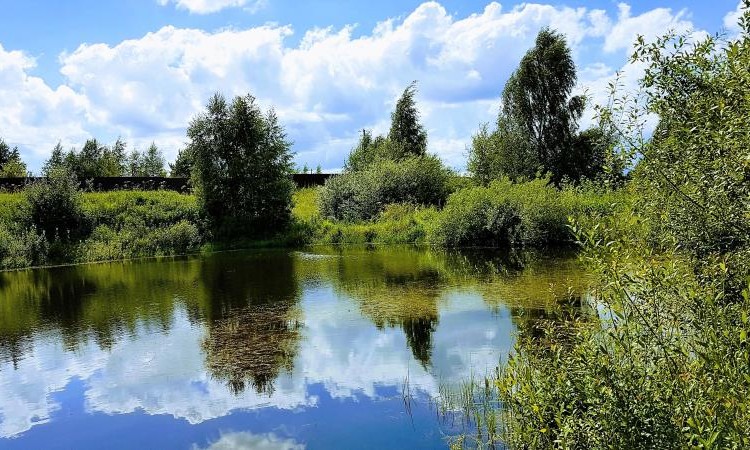 Журавлево-2
