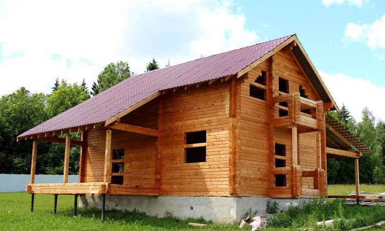 Заповедная поляна