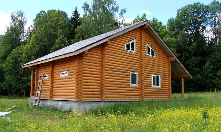 Заповедная поляна