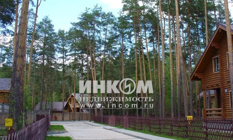Заповедный бор