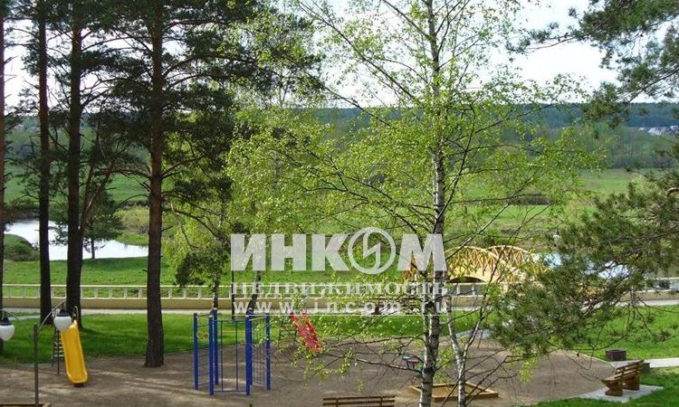Заповедный бор