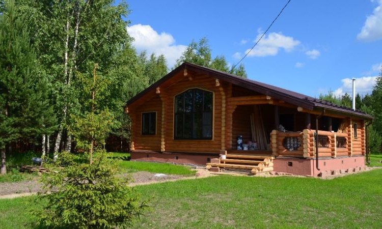Золотые сосны