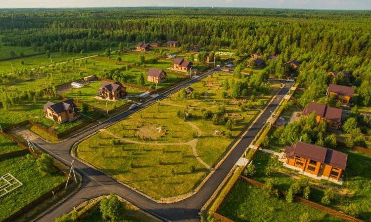 Золотые сосны
