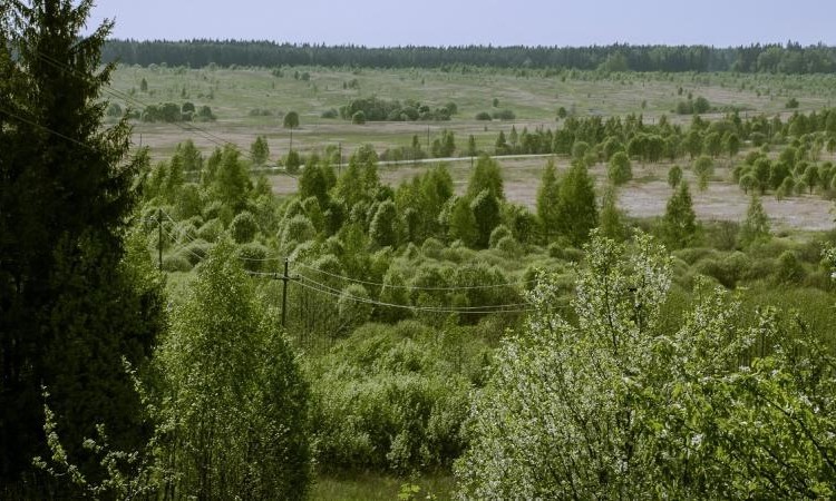 Ильино
