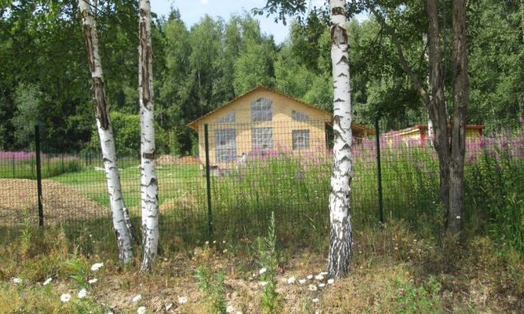 Исконы