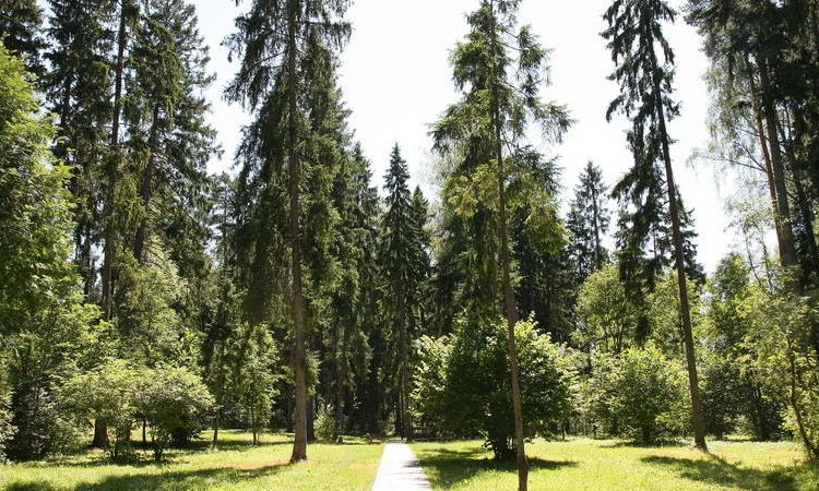 Истра Ленд