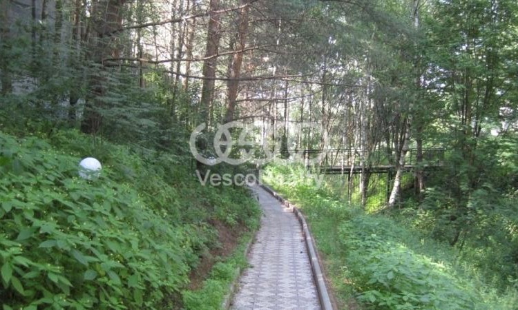 Катина Горка