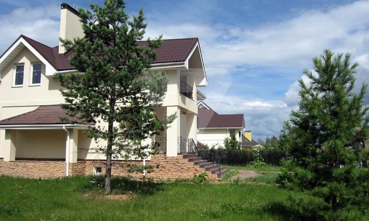 Кедры