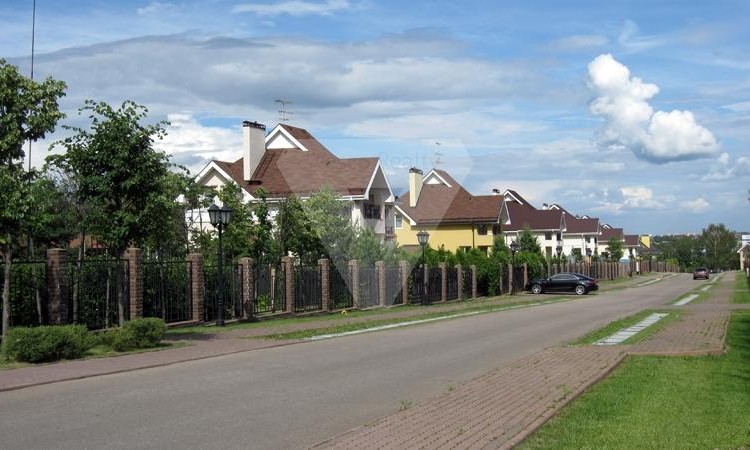 Кедры