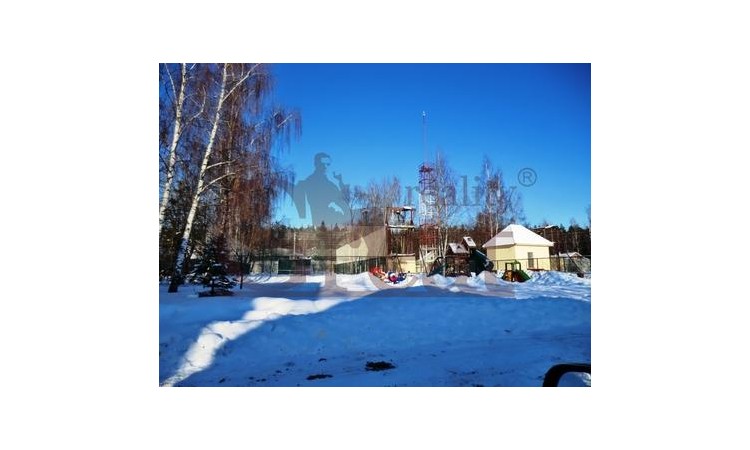 Клёны