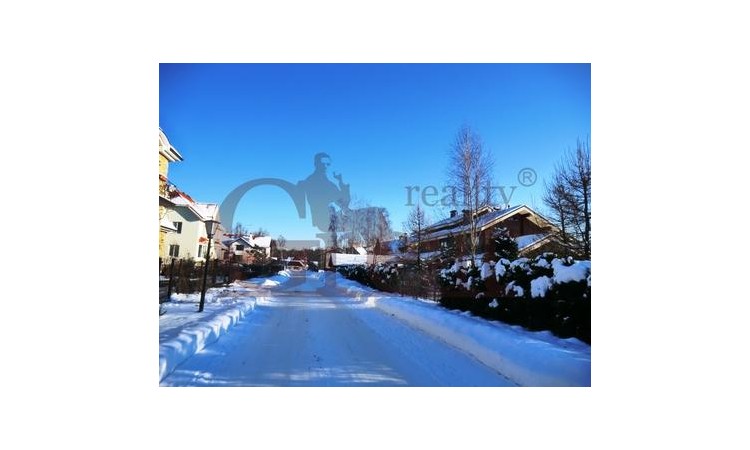 Клёны
