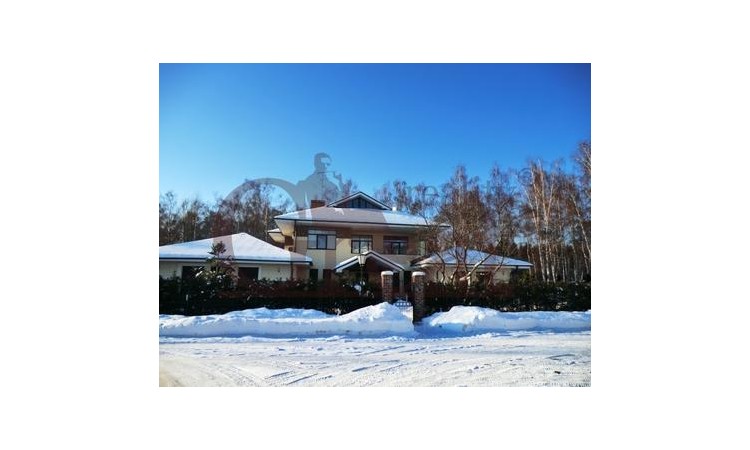 Клёны