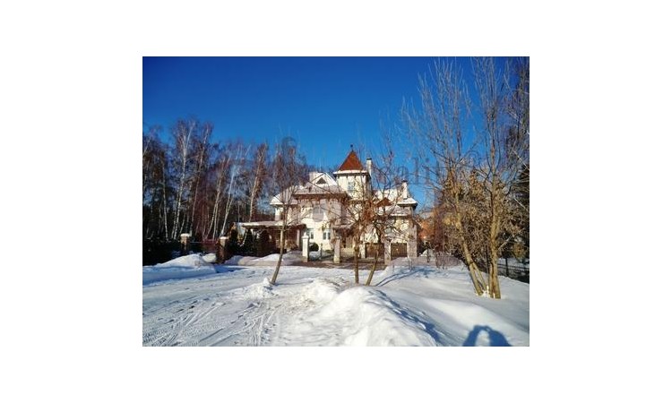 Клёны