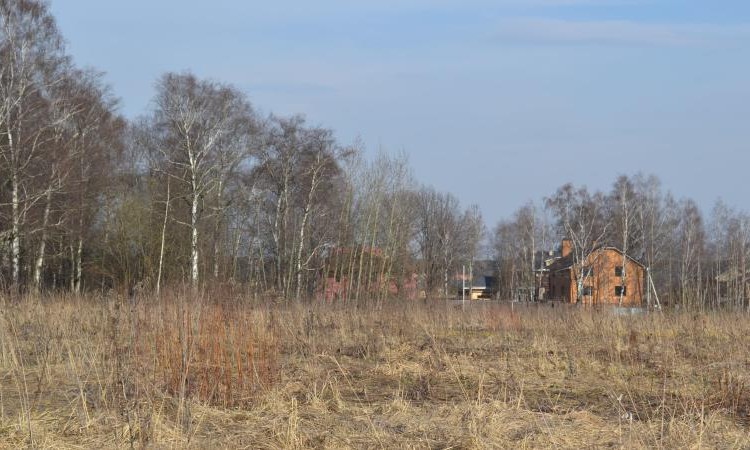 Клязьминский парк