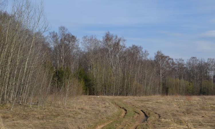 Клязьминский парк