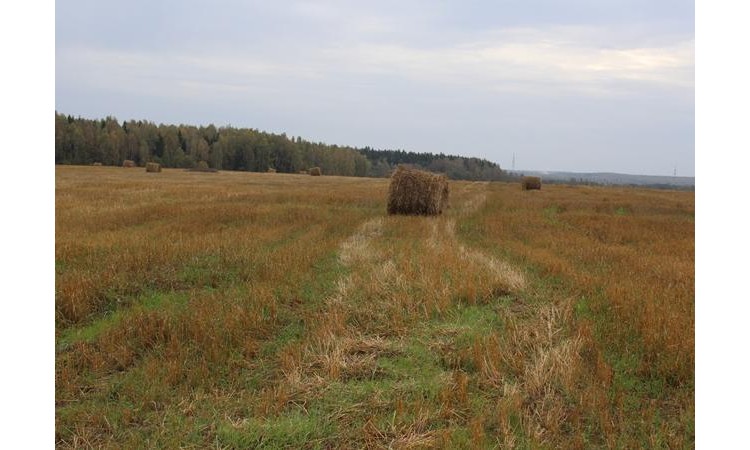 Князево