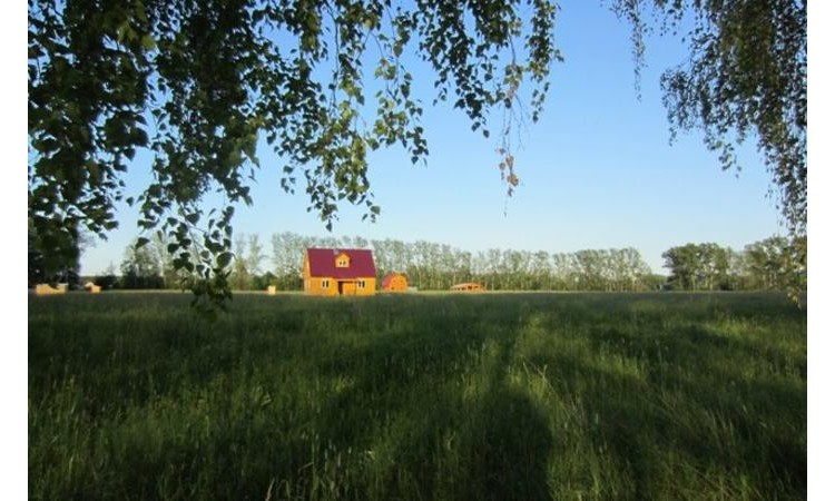 Коломенские сады