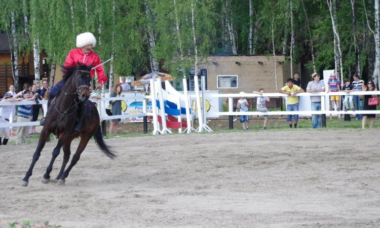 Конное подворье