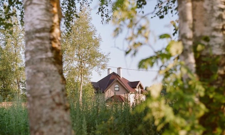 Кореньки