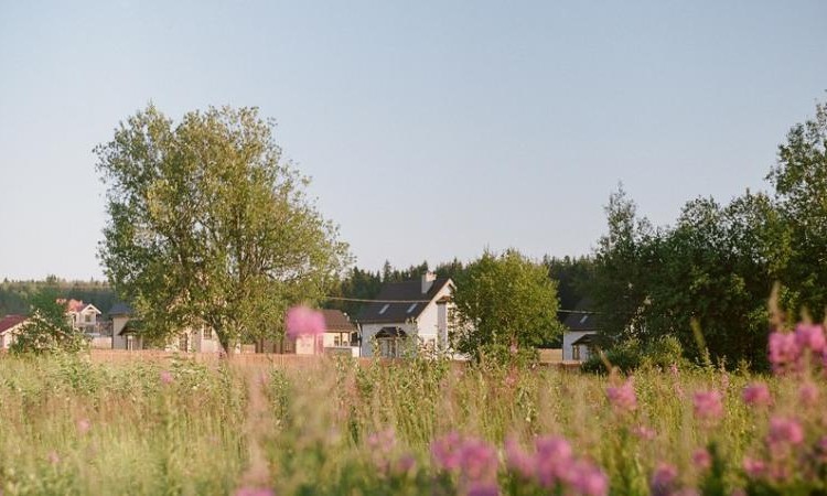Кореньки