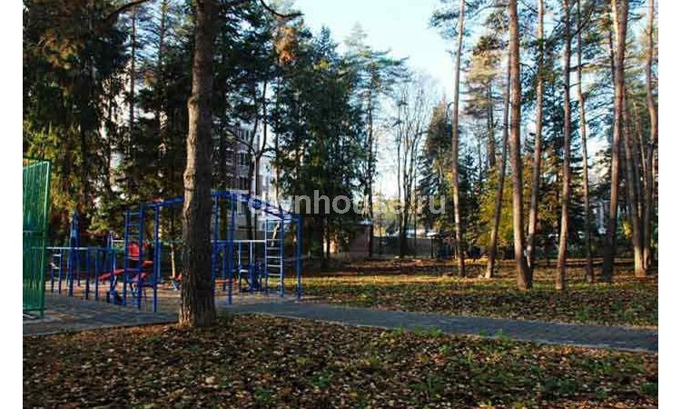 Королевские сосны