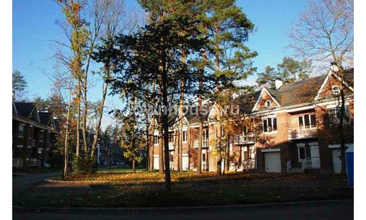 Королевские сосны