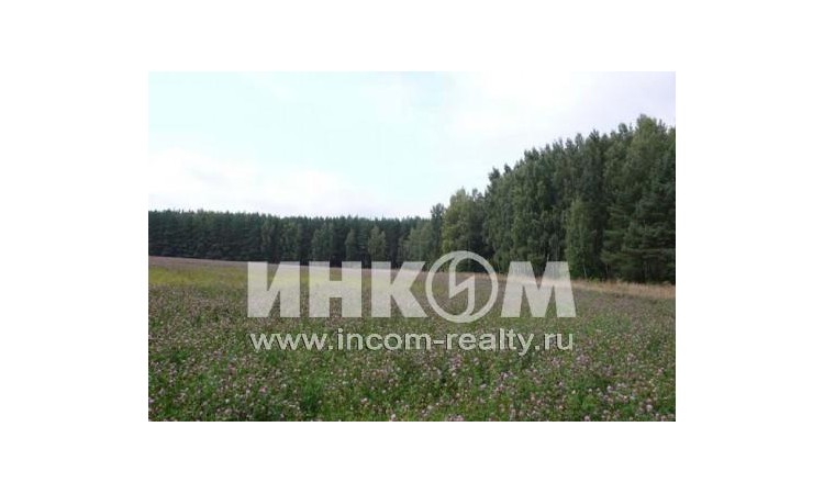 Костомарово поле