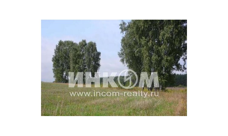 Костомарово поле
