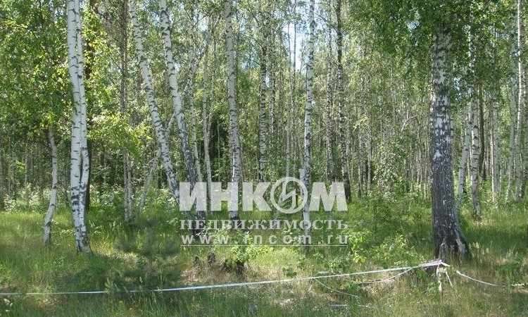 Кудиново-Люкс