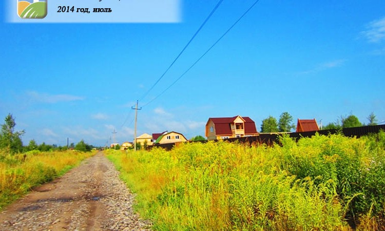 Кузнецы