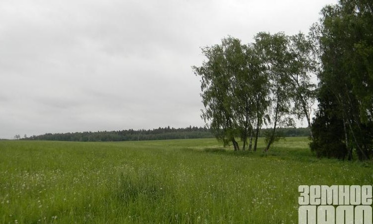 Лапинские дачи
