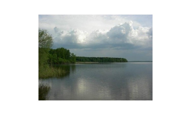 Лесная лагуна