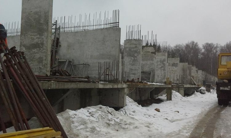 Лесная сказка
