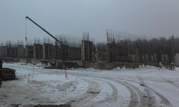 Лесная сказка
