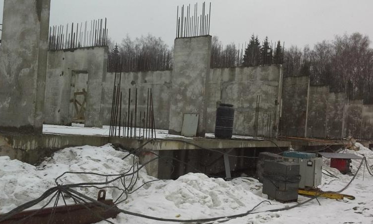 Лесная сказка