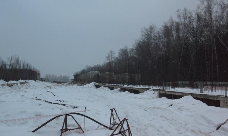 Лесная сказка