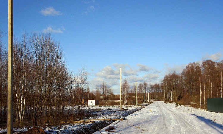 Лесное