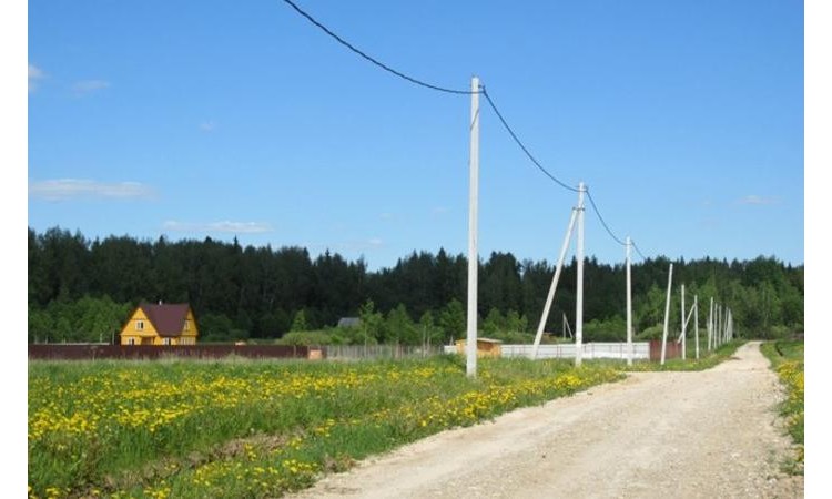 Лесное 1