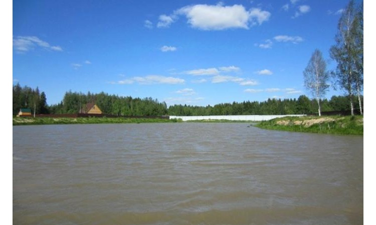 Лесное 1